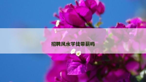 招聘風水學徒帶薪嗎