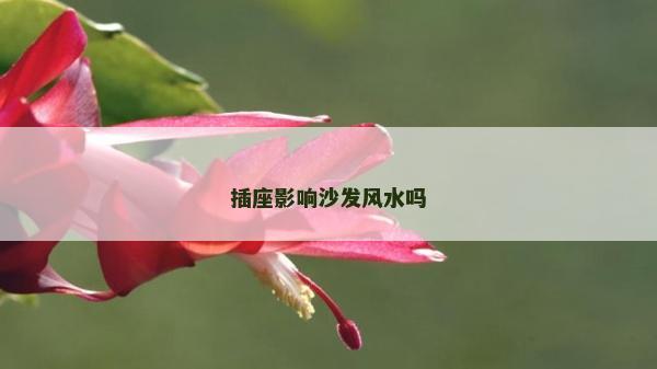 插座影響沙發(fā)風(fēng)水嗎
