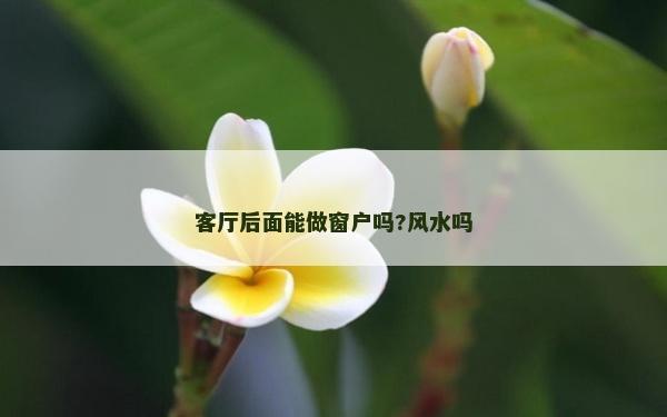 客廳后面能做窗戶嗎?風水嗎