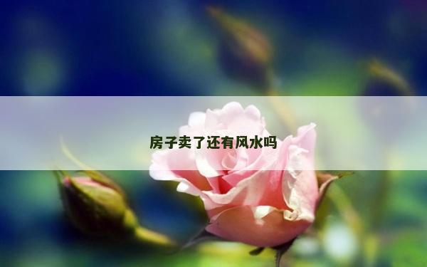 房子賣了還有風水嗎