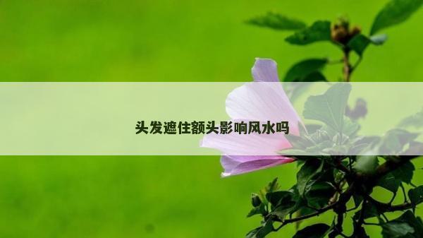 頭發遮住額頭影響風水嗎