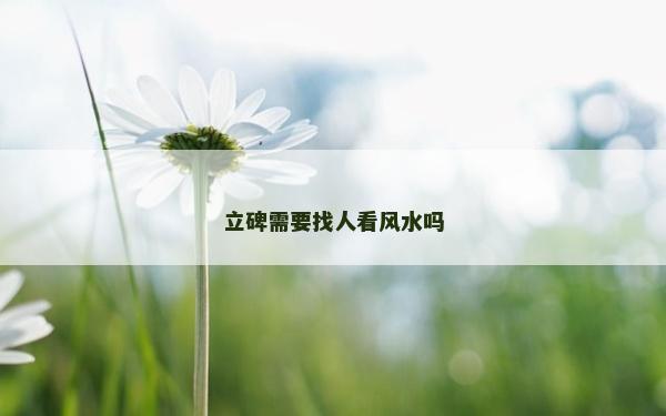 立碑需要找人看風水嗎