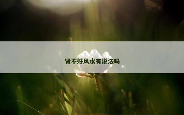 腎不好風水有說法嗎
