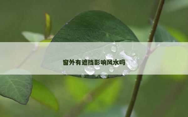 窗外有遮擋影響風(fēng)水嗎