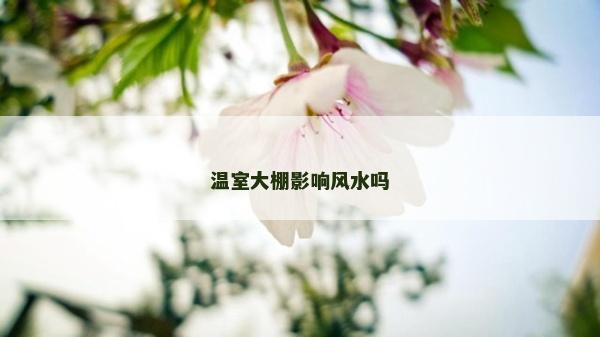 溫室大棚影響風(fēng)水嗎