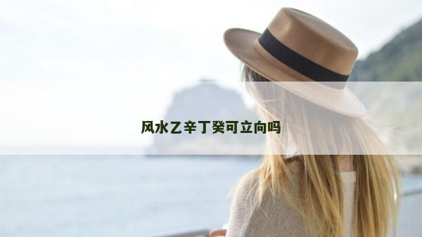 風水乙辛丁癸可立向嗎