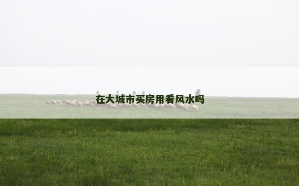在大城市買房用看風(fēng)水嗎