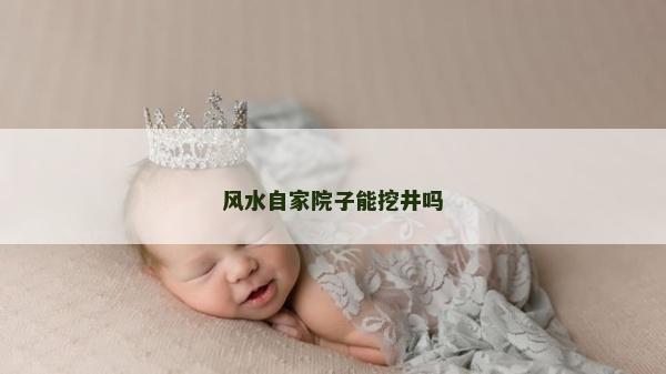 風水自家院子能挖井嗎