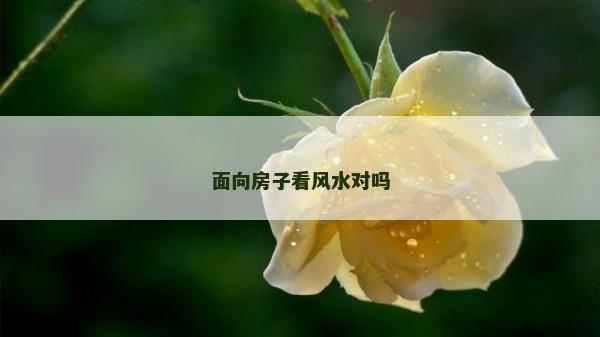 面向房子看風水對嗎