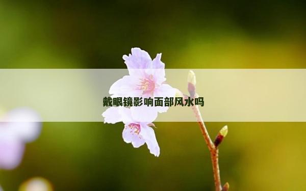 戴眼鏡影響面部風水嗎 戴眼鏡影響面部風水嗎