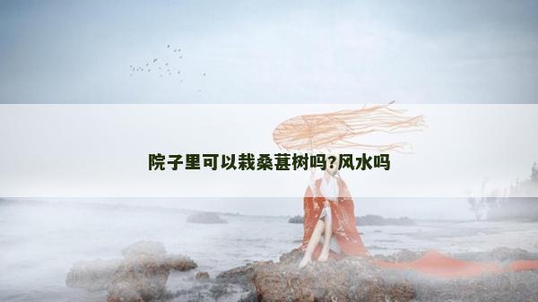 院子里可以栽桑葚樹嗎?風水嗎