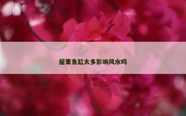 屋里魚缸太多影響風水嗎