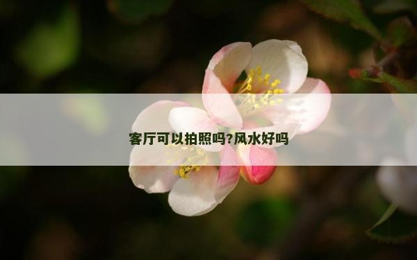 客廳可以拍照嗎?風(fēng)水好嗎 客廳可以拍照嗎?風(fēng)水好嗎
