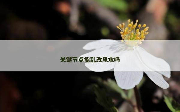 關(guān)鍵節(jié)點(diǎn)能亂改風(fēng)水嗎