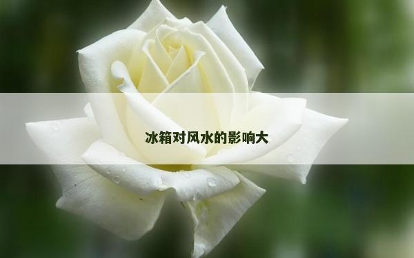 冰箱對風水的影響大