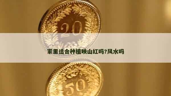 家里適合種植映山紅嗎?風水嗎