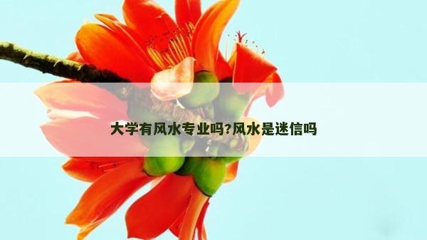 大學有風水專業嗎?風水是迷信嗎