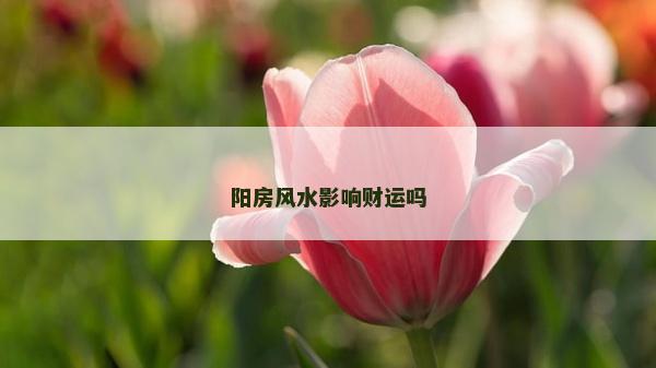 陽房風水影響財運嗎