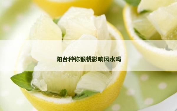 陽臺種彌猴桃影響風水嗎
