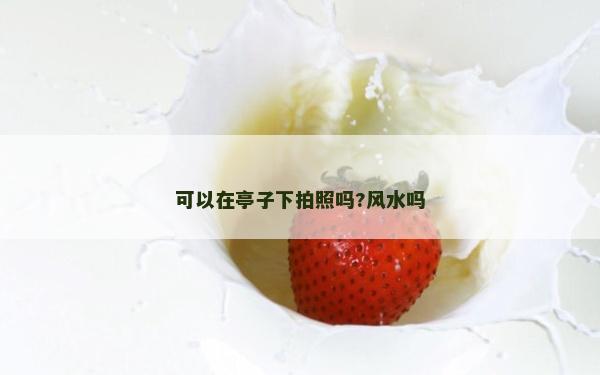 可以在亭子下拍照嗎?風水嗎