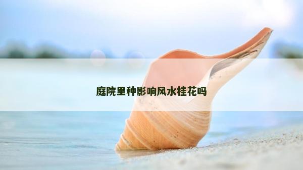 庭院里種影響風(fēng)水桂花嗎