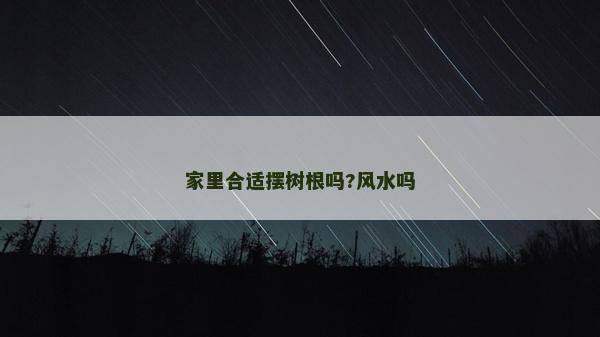 家里合適擺樹根嗎?風(fēng)水嗎