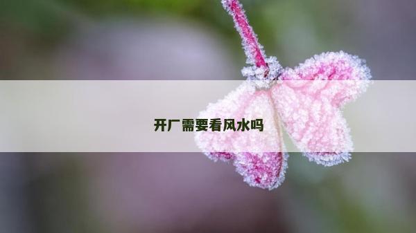 開廠需要看風(fēng)水嗎