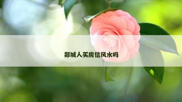 郯城人買房信風水嗎
