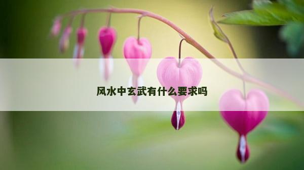 風水中玄武有什么要求嗎