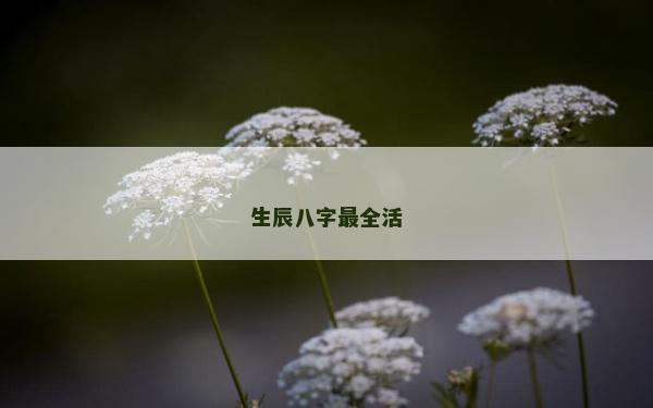 生辰八字最全活 生辰八字最全活
