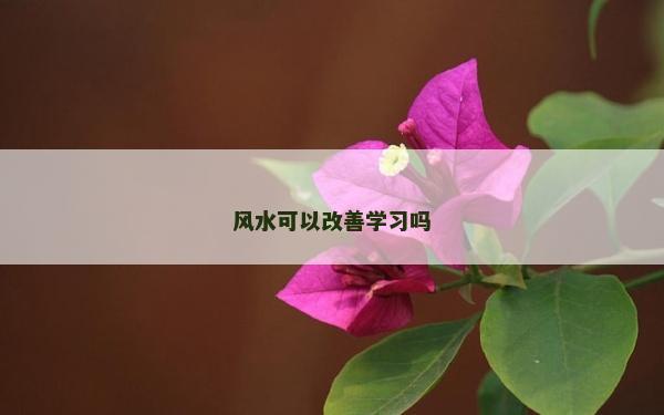 風水可以改善學習嗎