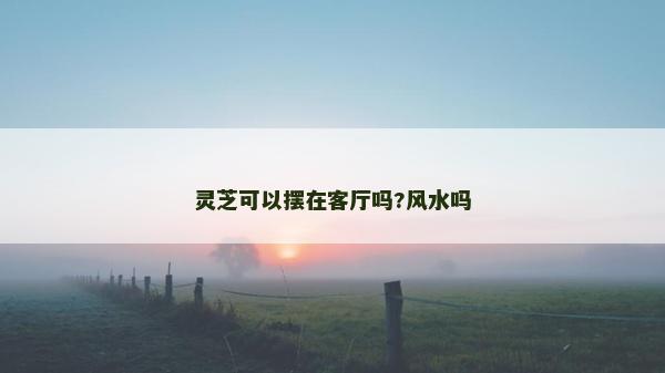 靈芝可以擺在客廳嗎?風水嗎