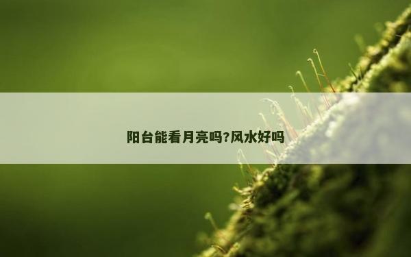 陽臺能看月亮嗎?風水好嗎 陽臺能看月亮嗎?風水好嗎