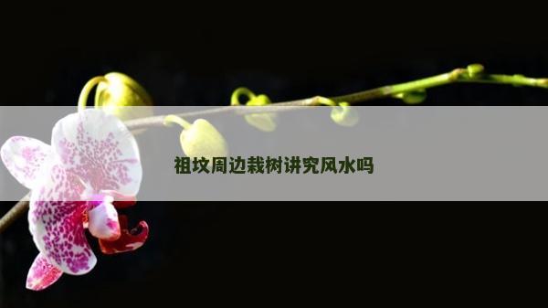 祖墳周邊栽樹講究風水嗎