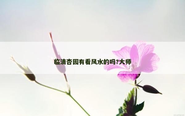 臨清杏園有看風(fēng)水的嗎?大師