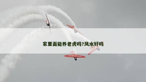 家里面能養老虎嗎?風水好嗎