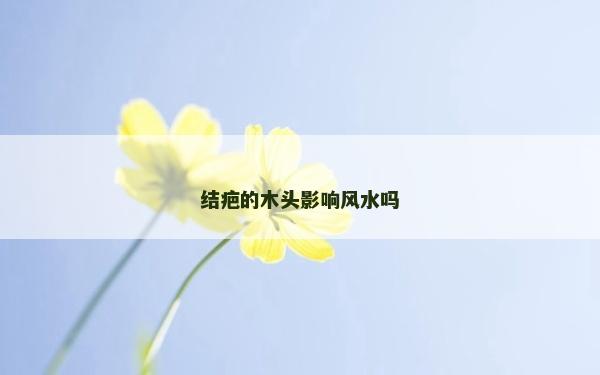結(jié)疤的木頭影響風水嗎
