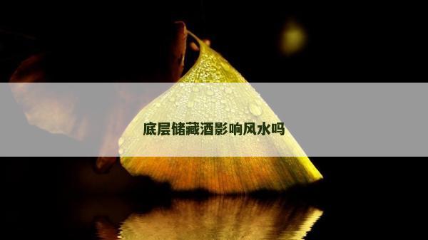 底層儲(chǔ)藏酒影響風(fēng)水嗎 底層儲(chǔ)藏酒影響風(fēng)水嗎