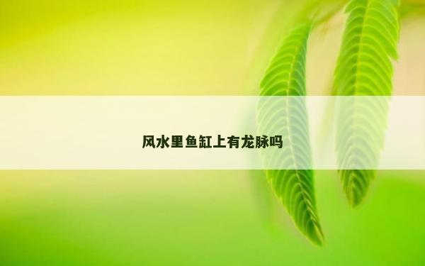 風(fēng)水里魚缸上有龍脈嗎