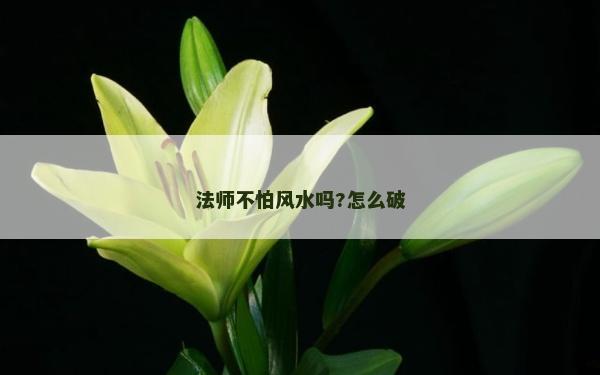法師不怕風水嗎?怎么破 法師不怕風水嗎?怎么破