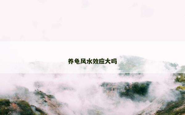 養龜風水效應大嗎