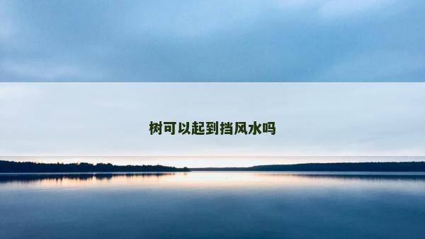 樹可以起到擋風水嗎