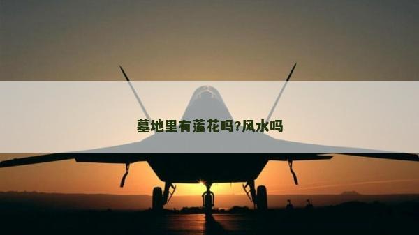 墓地里有蓮花嗎?風水嗎 墓地里有蓮花嗎?風水嗎