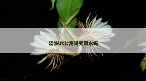 裝修lft公寓講究風水嗎