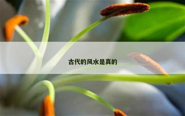 古代的風水是真的