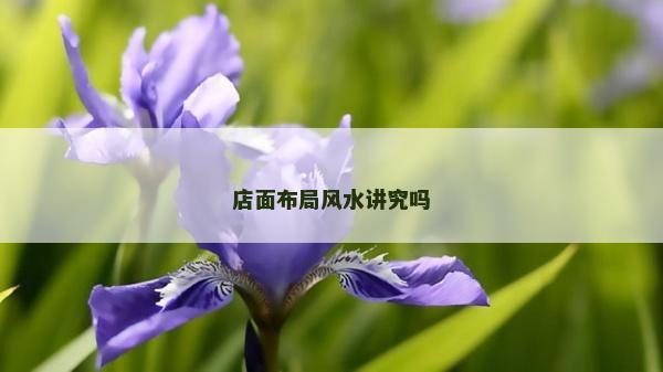 店面布局風水講究嗎