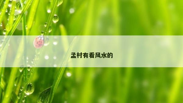 孟村有看風(fēng)水的