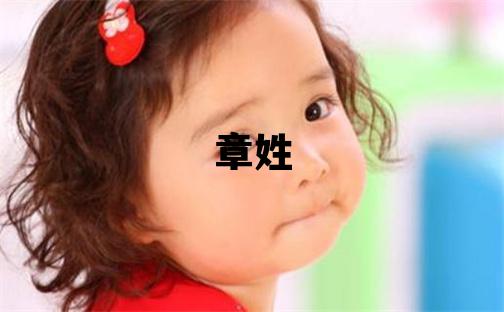 章姓洋氣的男孩名字,取什么名字好