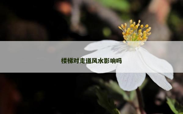 樓梯對走道風水影響嗎