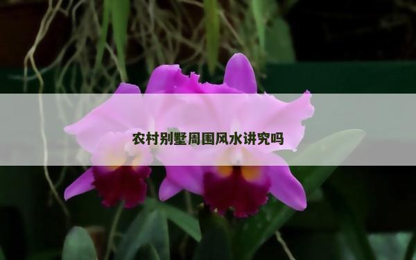 農村別墅周圍風水講究嗎 農村別墅周圍風水講究嗎